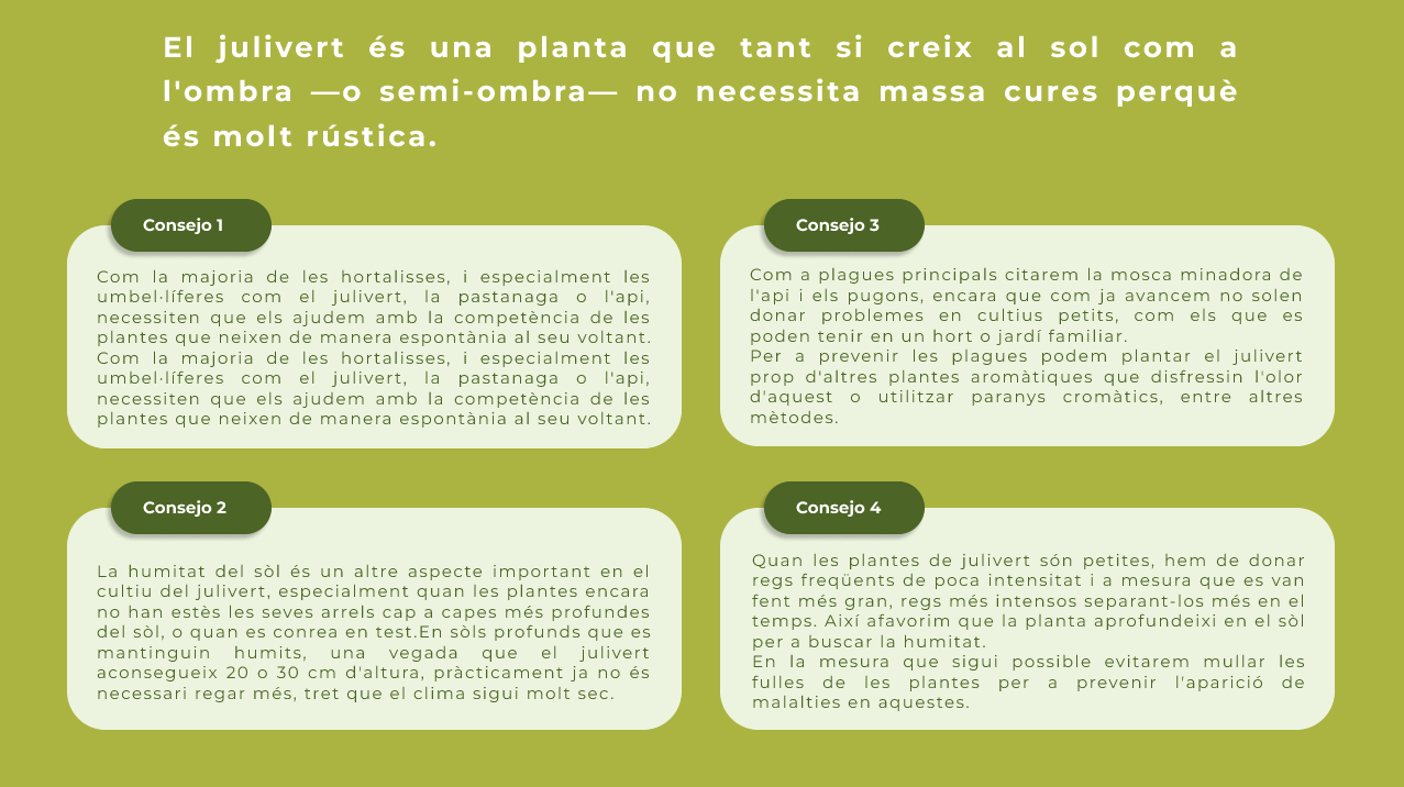 Plant info — details